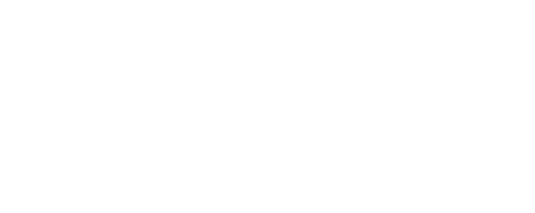 LICI GOVTECH BRANCA